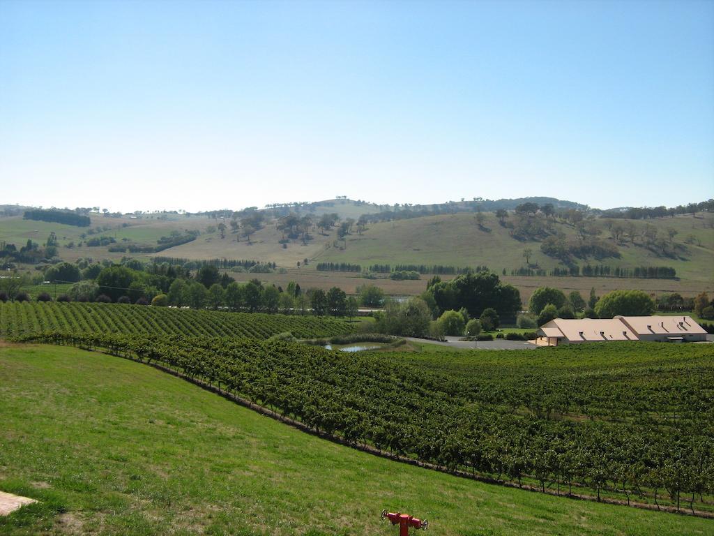 Turners Vineyard Motel Orange Cameră foto
